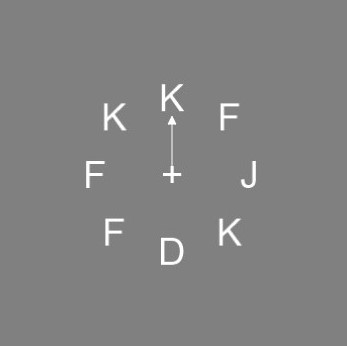 Partial Report Procedure