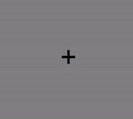 n-back-basic