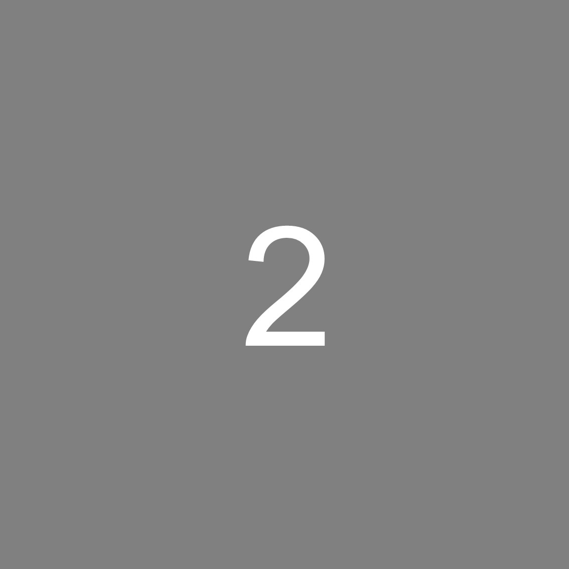 Digit Span Task