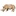 AnimalStroop