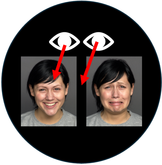 eye_tracking_face_preference
