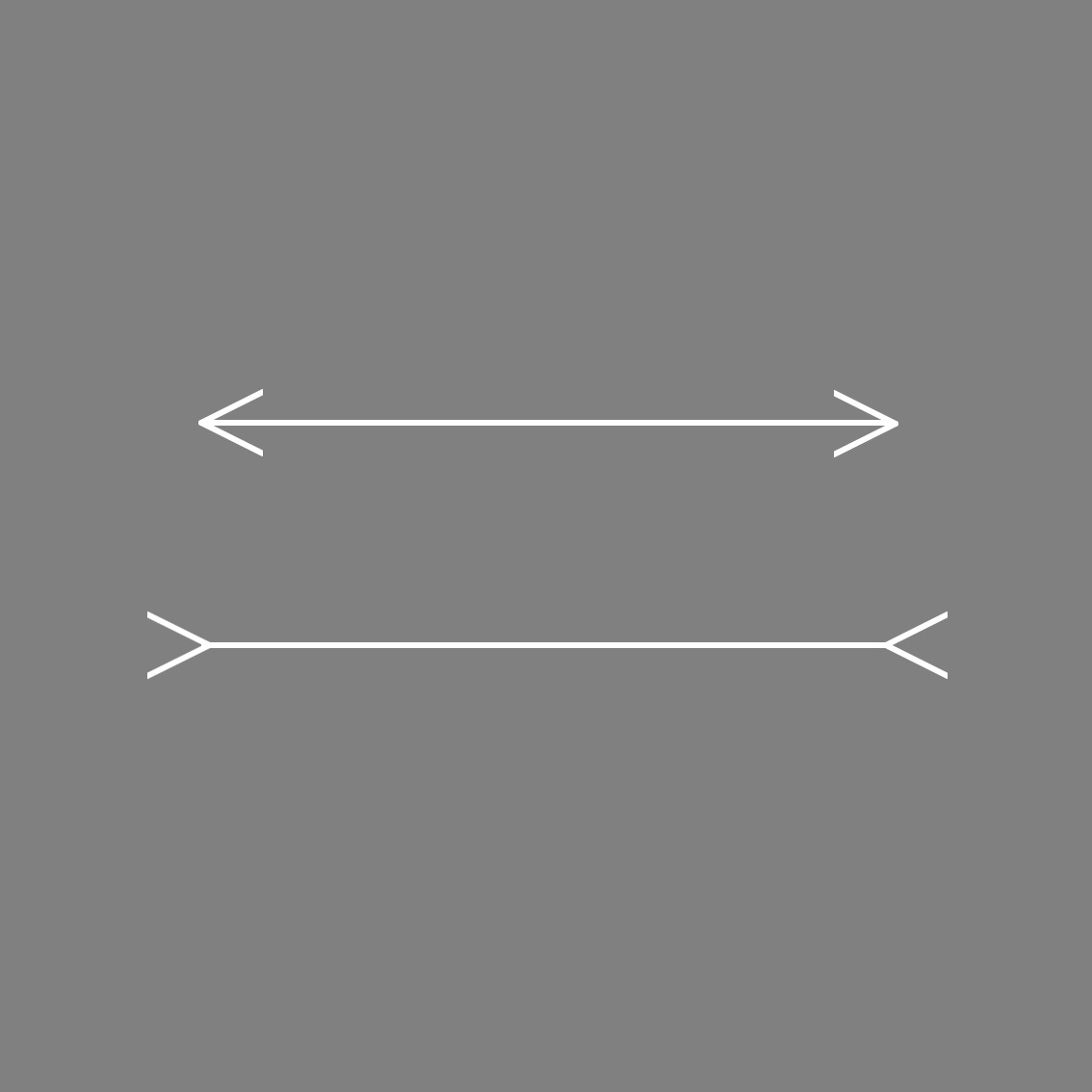 Müller-Lyer Illusion