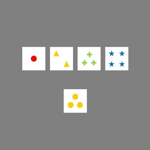 Wisconsin Card Sorting Task